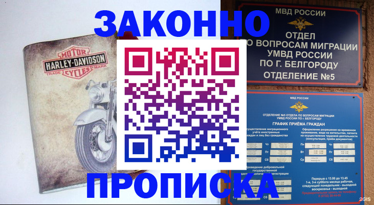 прописка для школы в Камчатской области